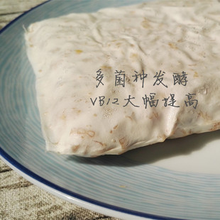 京津冀5包拍 新鲜天贝tempeh代替素肉食大豆发酵蛋白纯素vegan