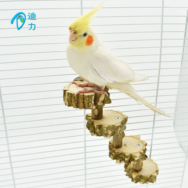 Товары от 迪力小宠屋