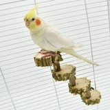 Лестница, качели, интеллектуальная игрушка, можно грызть