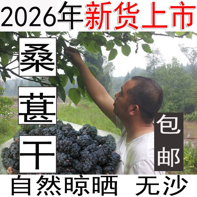 2025野生无沙桑葚 黑桑葚干黑桑椹干 桑果干做桑椹膏500g包邮