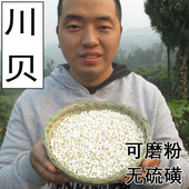 川贝母 包邮 川贝粉 50g一件 贝母 四川贝母 四川农家种植川贝