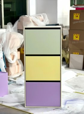 瑞典Arte 多巴胺超薄鞋柜Montana家用门口中古入户靠墙鞋收纳定制