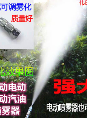 高压雾化可调喷雾园林打药清  机农用电动喷雾器远程射高果树喷头