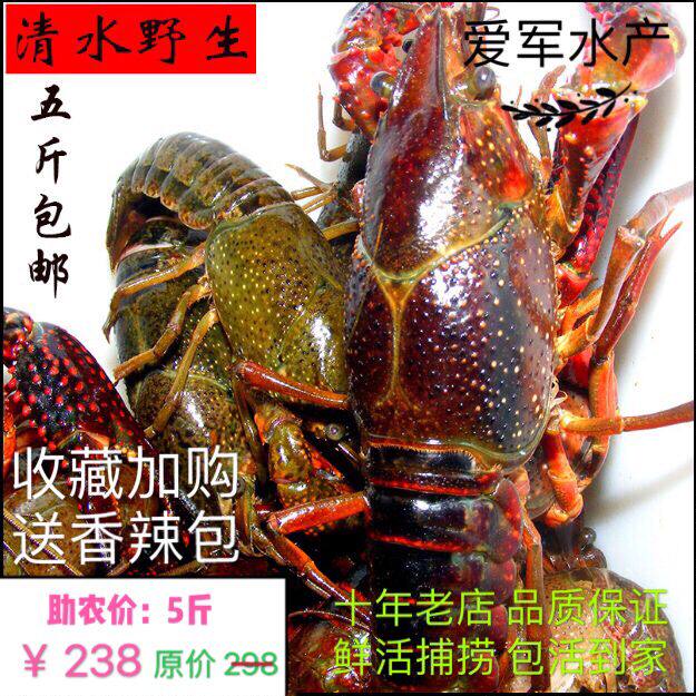 小龙虾鲜活789钱大纵湖生鲜特大青红淡水虾活虾4斤礼盒装清水湖鲜