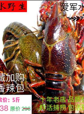 小龙虾特大清水湖鲜纵湖鱼范电商