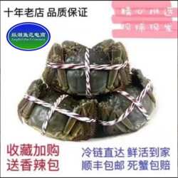 纵湖鱼范现货大闸蟹鲜活活蟹3.5-3两公2.5-2两母10只礼盒清水湖鲜