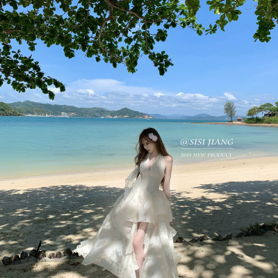 闺蜜-26夏上新SISIJIANG月影琉璃法式优雅收腰度假网纱提花气4947