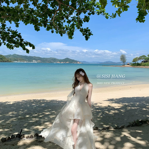 闺蜜-26夏上新SISIJIANG月影琉璃法式优雅收腰度假网纱提花气4947