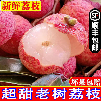 顺丰包邮荔枝老树新鲜