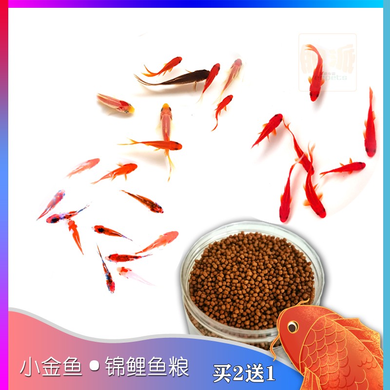 上浮金鱼粮锦鲤小红鱼小颗粒饲料