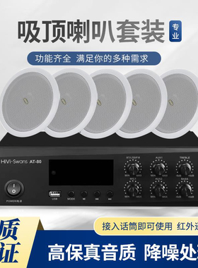 Hivi/惠威TD206套装背景音乐吸顶喇叭音响公共广播吊顶音箱AT-80