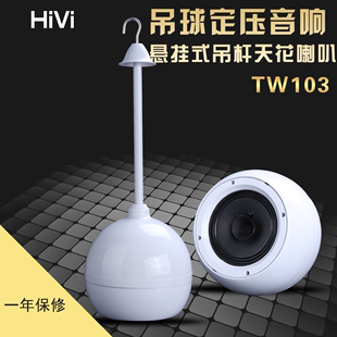 喇叭 Hivi惠威 TW103吊球形音响咖啡厅背景音乐吊挂音箱吊杆悬挂式