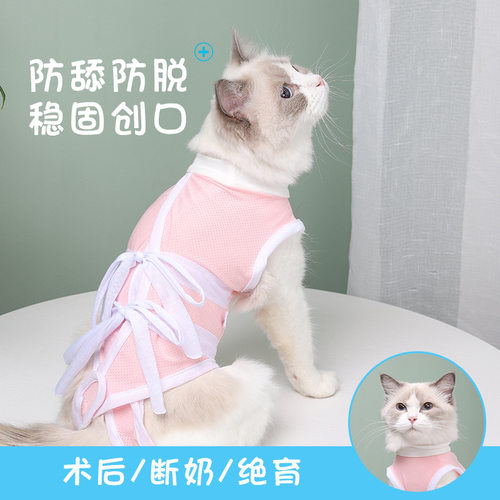猫咪绝育服纯棉母猫断奶绑带猫猫防舔手术服母狗公猫术后宠物衣服