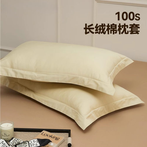 长绒棉枕套单个48cmx74cm枕头内胆纯棉一对装高级专用枕头套1