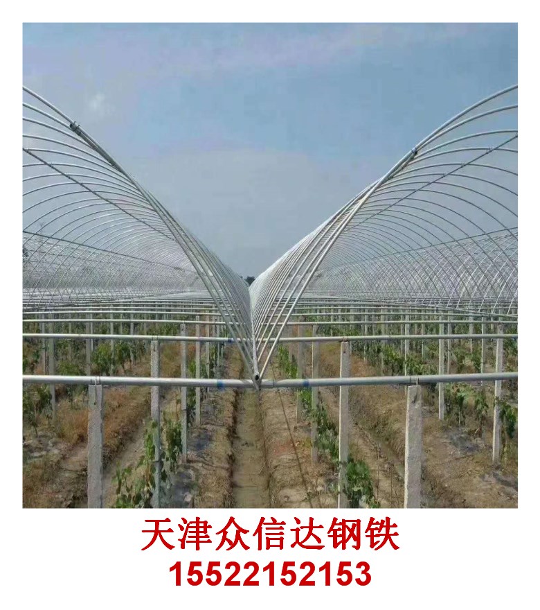 大棚镀锌管牛头测试推荐