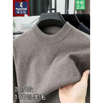 啄木鸟100%纯羊毛衫男半高领毛衣