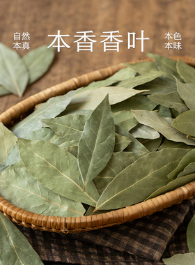 南食召 本香香叶 格鲁吉亚进口 品相好香气浓 月桂叶卤料香料组合