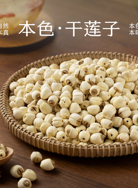 南食召 干莲子 当季广昌白莲·莲香扑鼻 一级莲子绵密去芯干货
