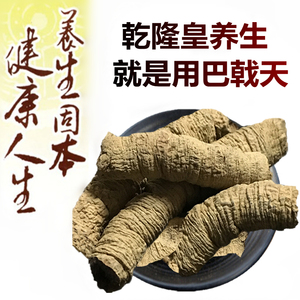 德庆正品巴戟天野生特级500g中药材新鲜干货煲汤泡酒料非制巴戟天