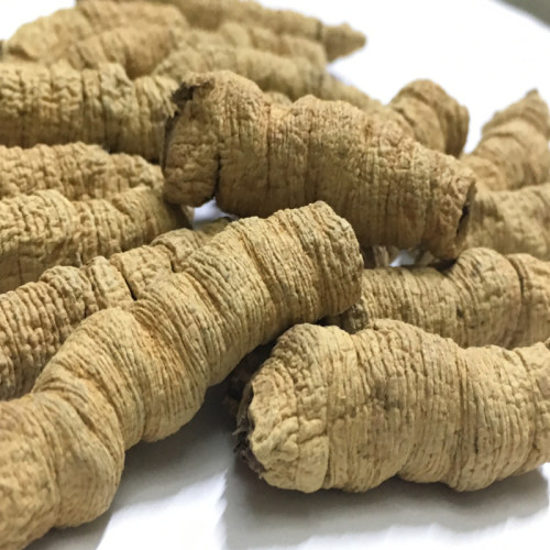 广东特产巴戟天紫肉抽芯煲汤泡酒