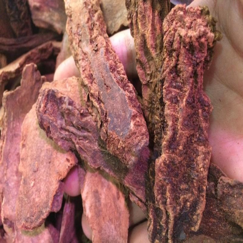 新疆金锁阳片优选500g新鲜干货泡酒料粉泡茶宜肉苁蓉巴戟天风流果
