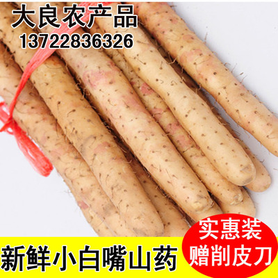 19年老店大良安平特产小白嘴山药