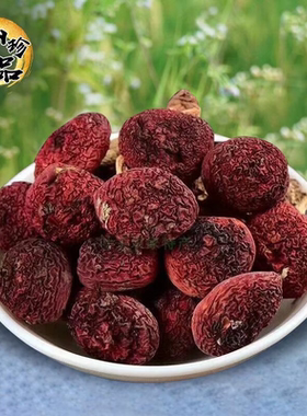 福建红菇武夷山野生菇蕾精选大个新鲜菌菇山珍高山菇建瓯农家图货