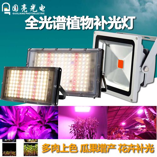 LED全防水室外多肉植物投光灯