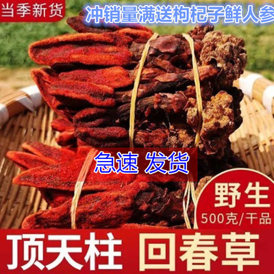 云南回春草滋补泡茶泡水