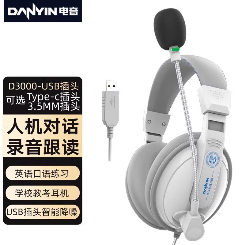 电音D3000USB/TYPEC降噪有线耳机