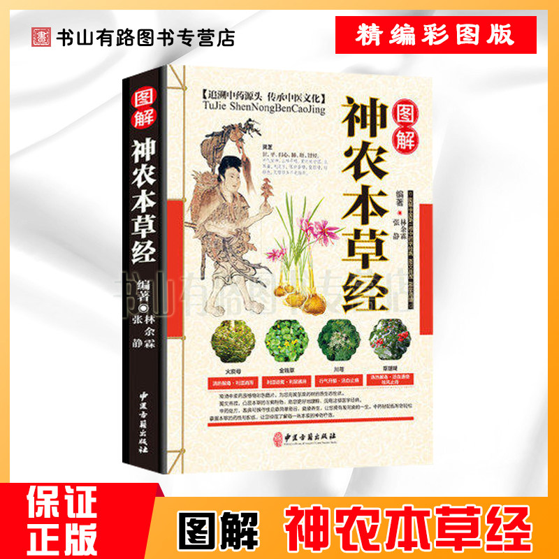 彩图版现代家庭认知应用养生保健指南医学类医书 中医调理中草药大全