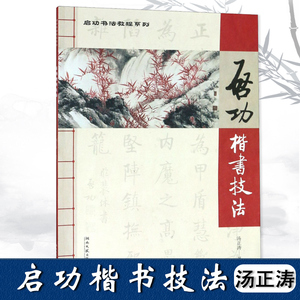 正版启功楷书技法楷书入门教程技法毛笔书法图解硬笔楷书入门教程技法图解楷书入门基础训练字帖楷书大学生字帖