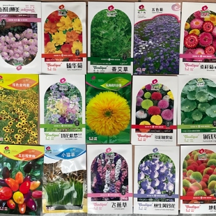 鲜花种子花籽大全猫草种子菊花种子薰衣草籽铜钱草迷你花卉种子