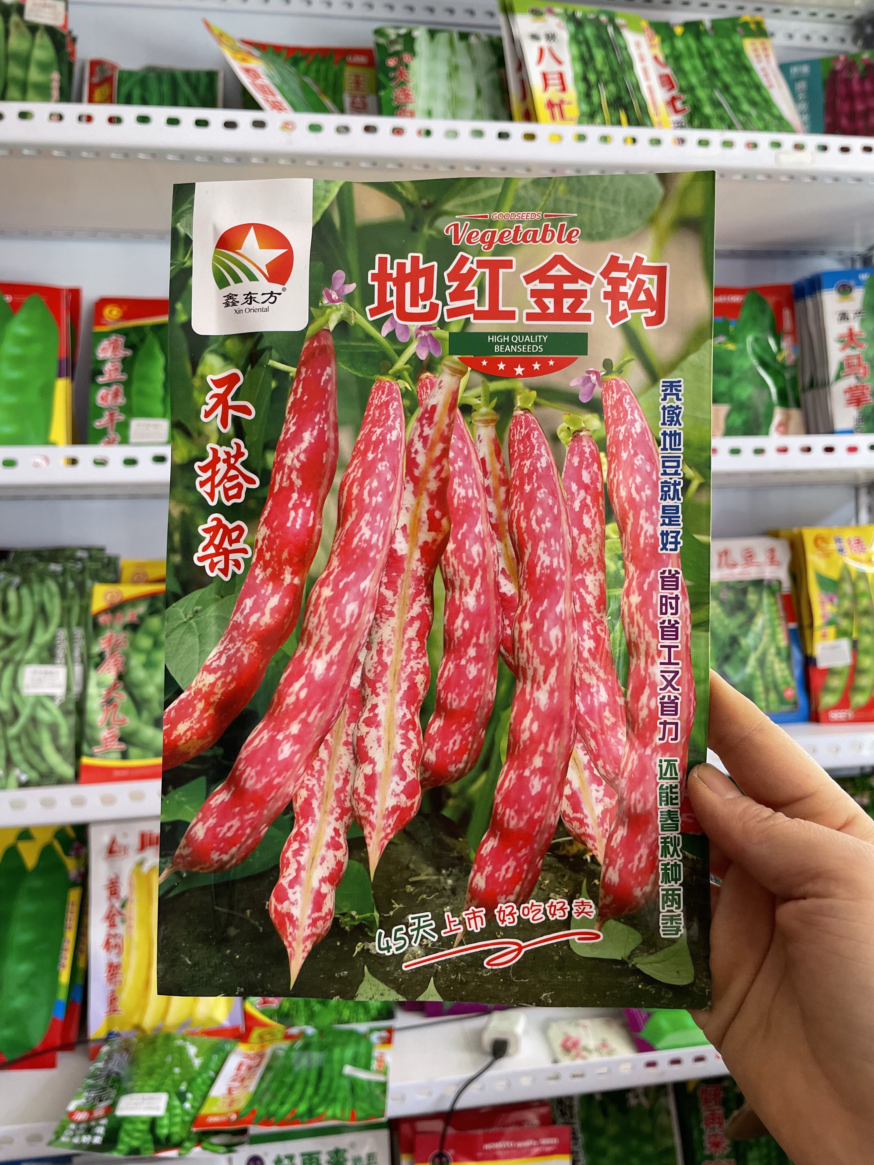 不搭架地红金钩豆角种子农家秃墩豆角籽勾勾红矮生油豆角种籽原种图片