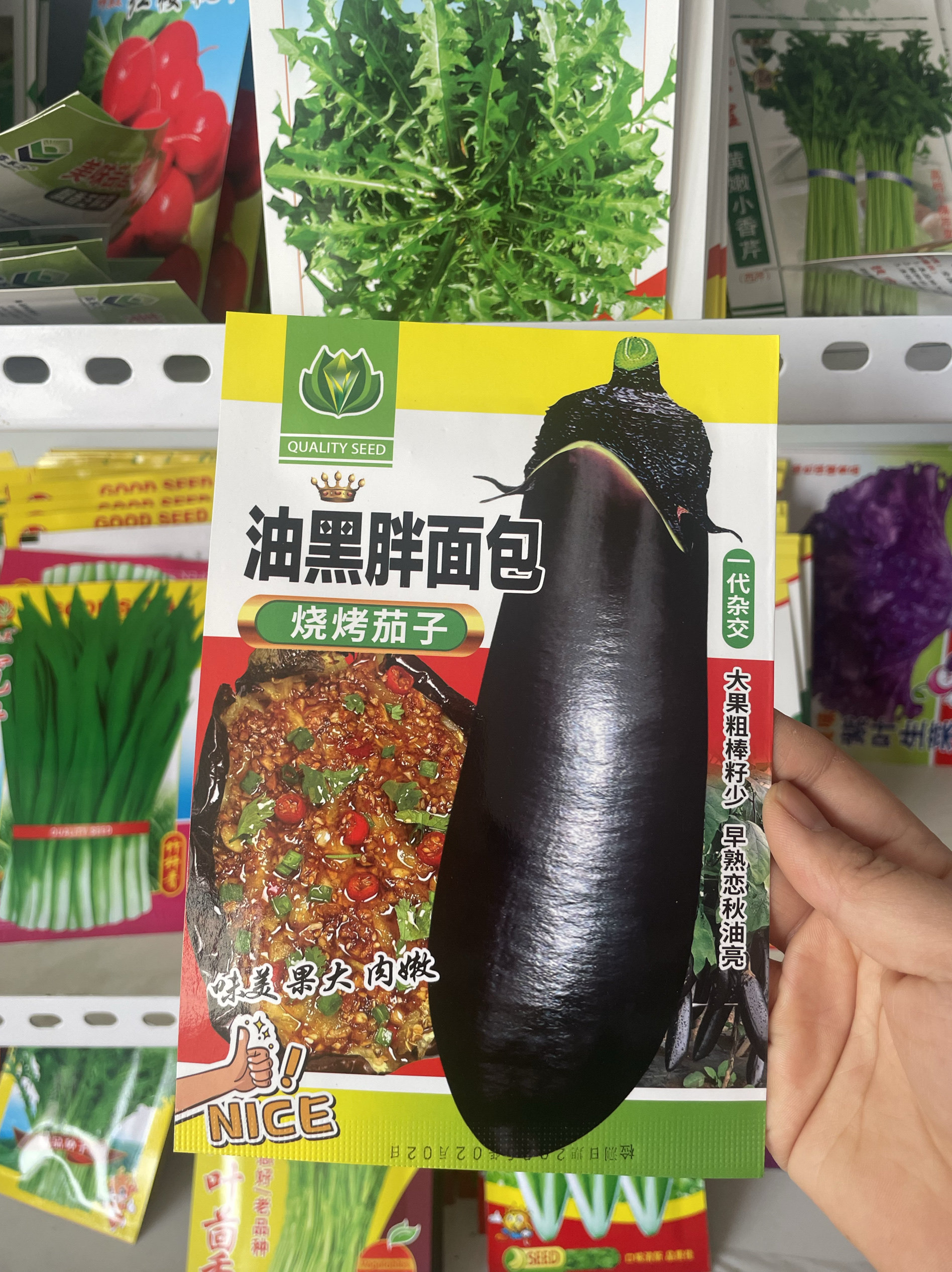 油黑胖面包茄子种子黑茄子种子烧烤茄子农家紫黑茄子籽恋秋茄子