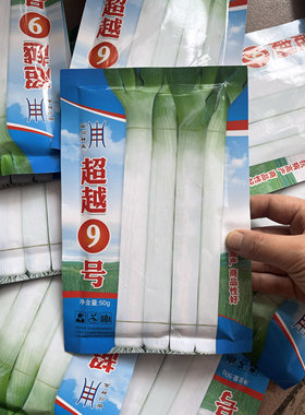 辽葱超越9号东北秋季大葱种子