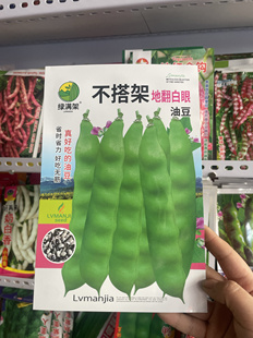 地翻白眼豆角种子不搭架油豆角籽东北农家矮生豆角子面糊无筋无柴