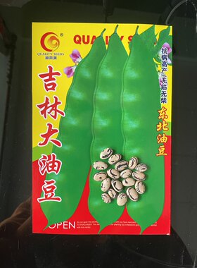 东北吉林油豆豆豆豆角籽种子