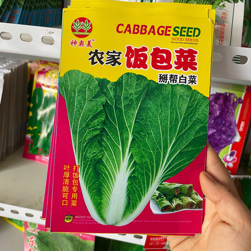 东北农家圆叶饭包菜种子批帮菜