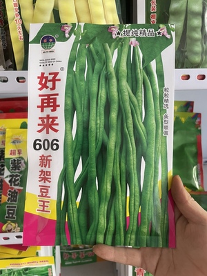 好再来606新架豆王豆角种子泰国架豆豆角籽农家菜园100克原装包邮