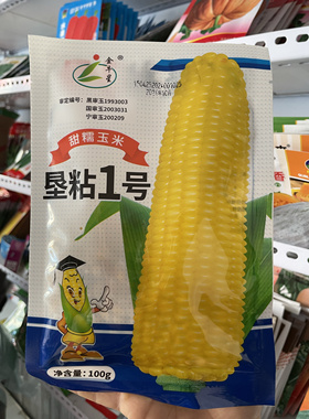 垦粘一号糯玉米种子黄糯玉米种籽东北农家粘苞米籽黄粘玉米老品种