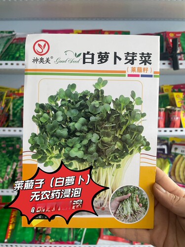新籽莱菔子白萝卜籽中药材萝卜子药用莱菔籽原生籽半斤原装包邮 - 封面