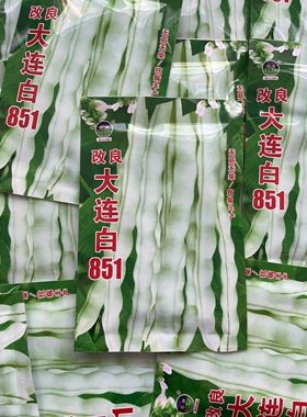 改良大连白851豆角种子白绿色豆角籽搭架无筋无柴脆豆角可晒丝