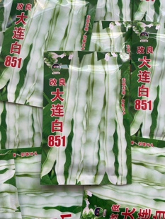 改良大连白851豆角种子白绿色豆角籽搭架无筋无柴脆豆角可晒丝