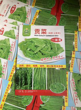 农家贡菜种子小菜园响菜籽山蛰菜种籽可干菜炒菜做咸菜蔬菜种子