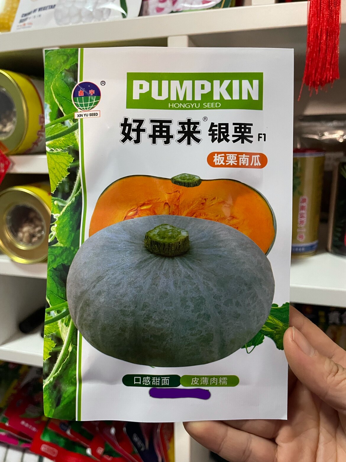 好再来银栗南瓜种子甜面板栗南瓜种籽东北窝瓜籽春季满8元包邮