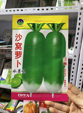 沙窝萝卜种子水果萝卜种籽大青萝卜籽东北秋季二伏大绿萝卜种籽