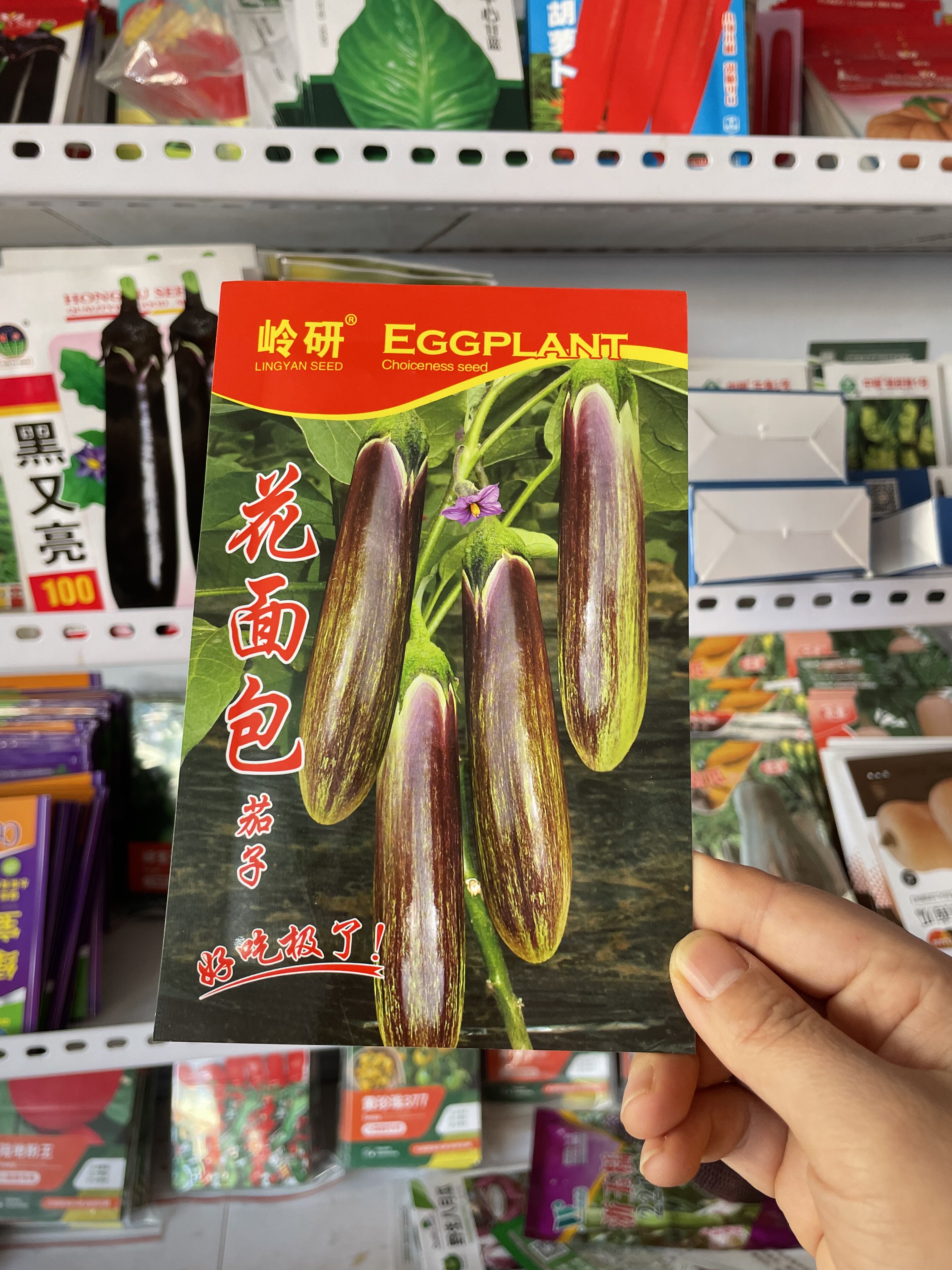 花面包茄子种子农家面包茄子籽花茄子种籽皮薄面糊籽少蔬菜种子