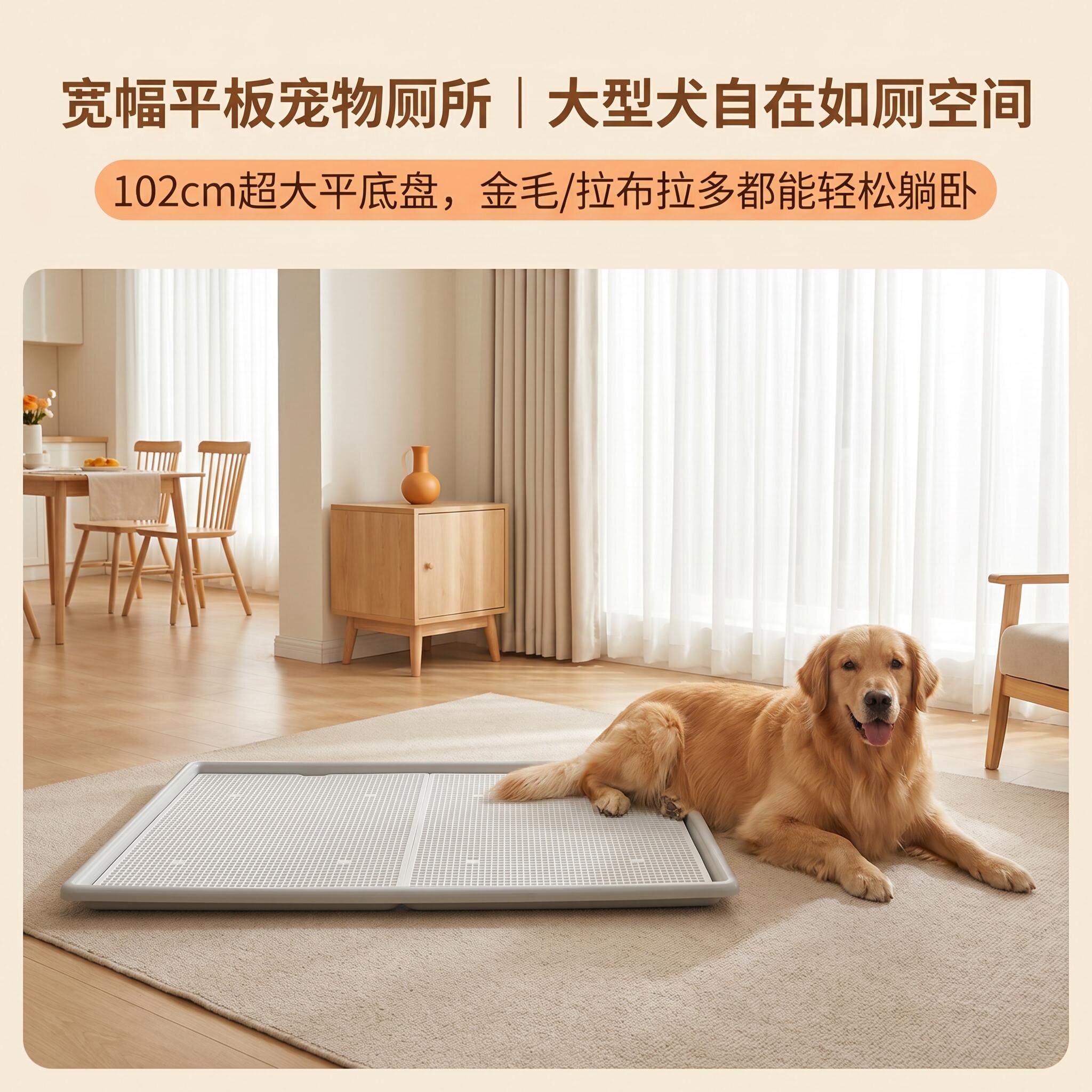 特大号金毛狗狗用品DINGDONGPET