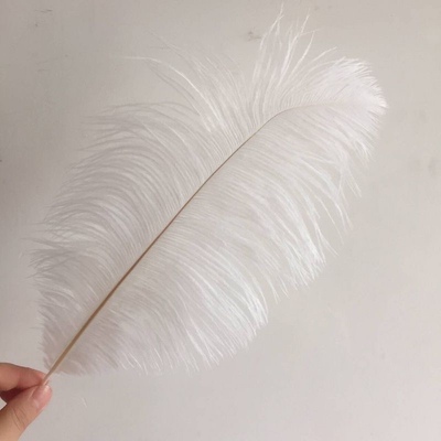 ins天然鸵鸟羽毛鹅毛拍照道具手拿拍照背景布美甲装饰 摆件饰品